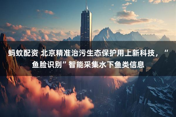 蚂蚊配资 北京精准治污生态保护用上新科技，“鱼脸识别”智能采集水下鱼类信息