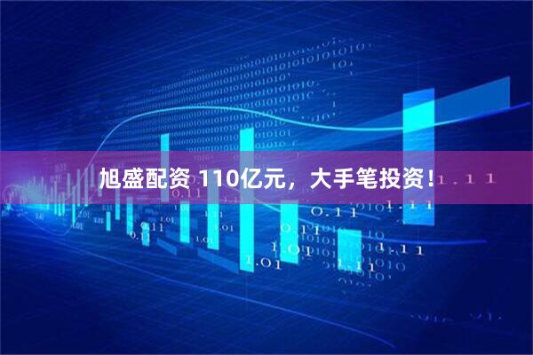 旭盛配资 110亿元，大手笔投资！